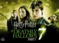 Harry Potter Deathly Hallows: Part 1 Movie