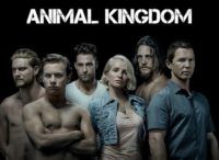 animal kingdom tv series