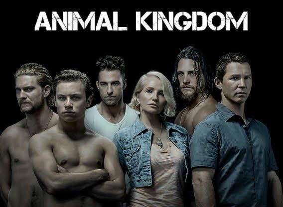 animal kingdom tv series