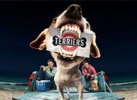 terriers tv series