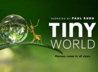 tiny-world tv series