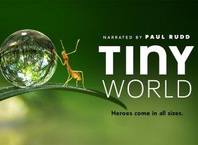 tiny-world tv series
