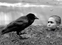 the-painted-bird movie