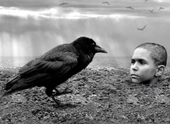 the-painted-bird movie