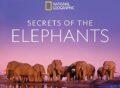 secrets-of-the-elephants tv series