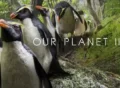 our-planet-ii tv mini series