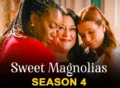 Sweet Magnolias TV Series