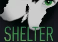 harlan-cobens-shelter tv series