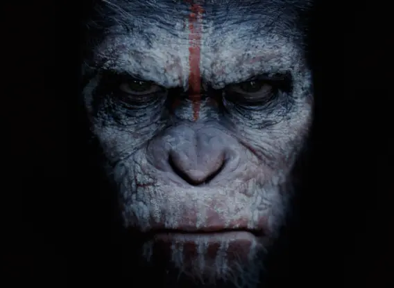 dawn-of-the-planet-of-the-apes movie