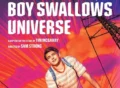 boy-swallows-universe tv series