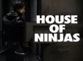 house-of-ninjas tv series