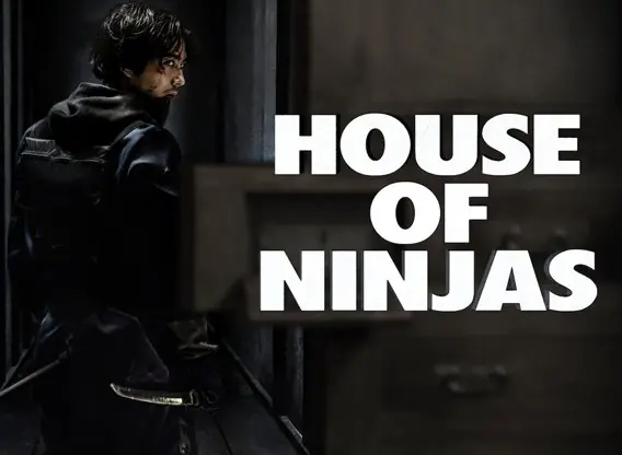 house-of-ninjas tv series