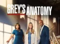 greys-anatomy-21 tv series