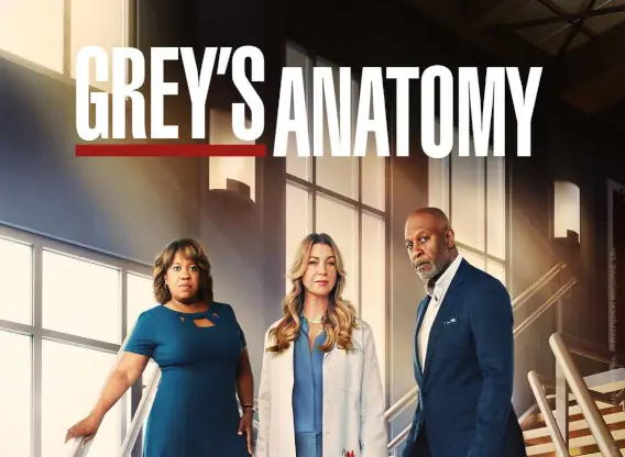 greys-anatomy-21 tv series