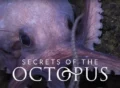 secrets-of-the-octopus tv series