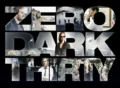 Zero Dark Thirty Movie