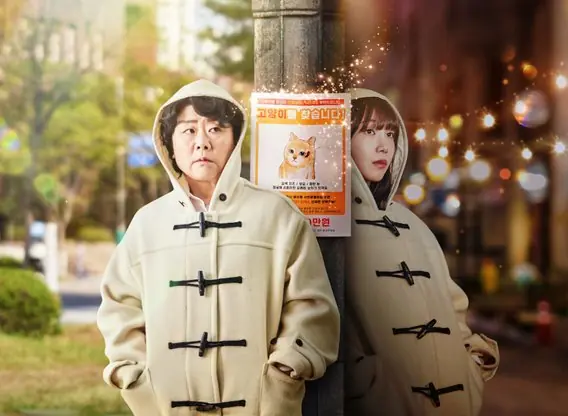 miss-night-and-day tv series