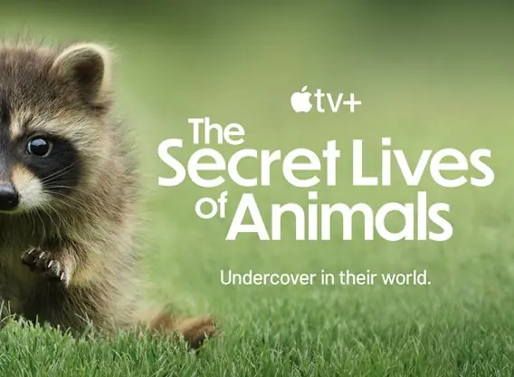 the-secret-lives-of-animals tv series