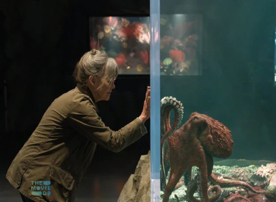 Remarkably Bright Creatures Movie